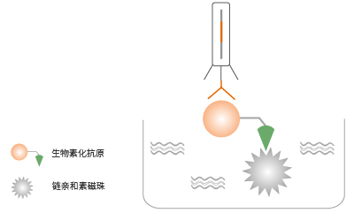 液相化抗原篩選法