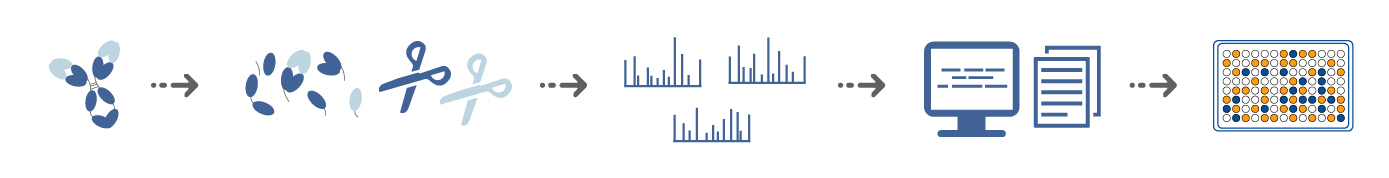 抗體測序流程